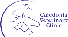 Caledonia Veterinary Clinic